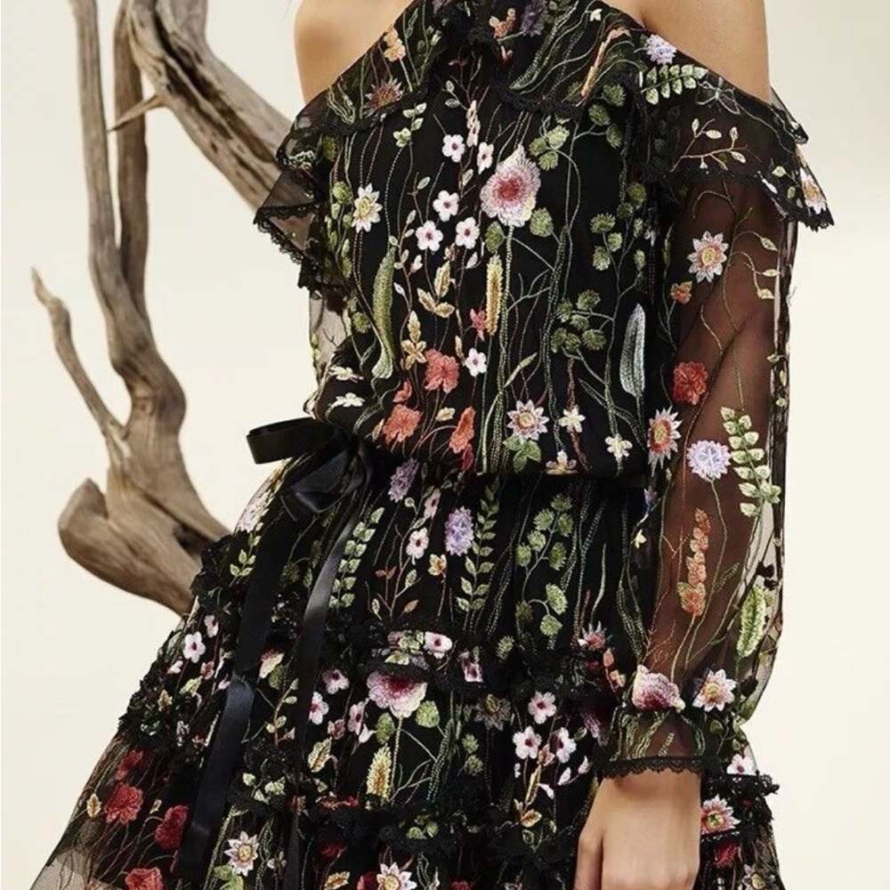 Alexis Black Floral Sheer Mini Dress